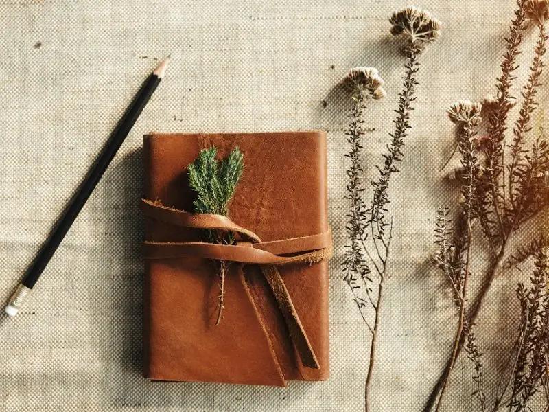 Journal and pencil